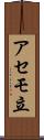 アセモ立 Scroll