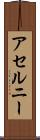 アセルニー Scroll