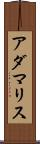 Adamaris Scroll