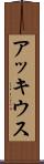 アッキウス Scroll