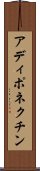 アディポネクチン Scroll