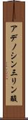 アデノシン三リン酸 Scroll