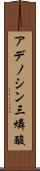 アデノシン三燐酸 Scroll