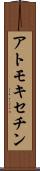 アトモキセチン Scroll