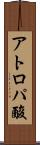 アトロパ酸 Scroll