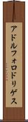 Adolfo Rodriguez Scroll