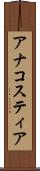 アナコスティア Scroll
