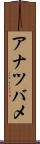 アナツバメ Scroll