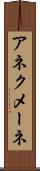 アネクメーネ Scroll