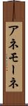 アネモーネ Scroll