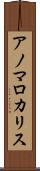 アノマロカリス Scroll
