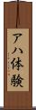 アハ体験 Scroll