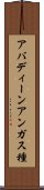 アバディーンアンガス種 Scroll