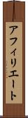 アフィリエート Scroll