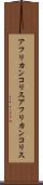 アフリカンコリス Scroll
