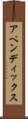 アペンディックス Scroll