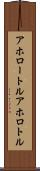 アホロートル Scroll