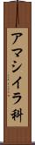 アマシイラ科 Scroll
