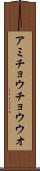 アミチョウチョウウオ Scroll