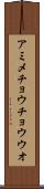 アミメチョウチョウウオ Scroll