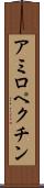 アミロペクチン Scroll