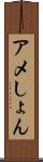 アメしょん Scroll