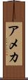 アメカ Scroll