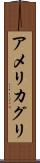 アメリカグリ Scroll