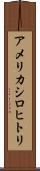 アメリカシロヒトリ Scroll