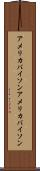アメリカバイソン Scroll