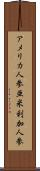 アメリカ人参 Scroll