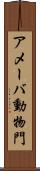 アメーバ動物門 Scroll