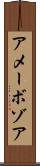 アメーボゾア Scroll