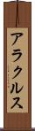 アラクルス Scroll