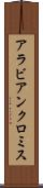 アラビアンクロミス Scroll