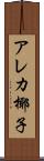アレカ椰子 Scroll