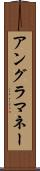 アングラ・マネー Scroll