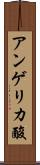 アンゲリカ酸 Scroll