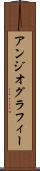 アンジオグラフィー Scroll