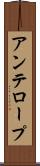 アンテロープ Scroll