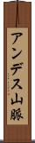 アンデス山脈 Scroll