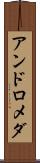 アンドロメダ Scroll