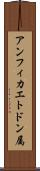 アンフィカエトドン属 Scroll