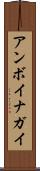 アンボイナガイ Scroll
