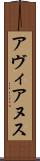 アヴィアヌス Scroll
