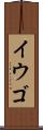 イウゴ Scroll