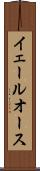 イェールオース Scroll