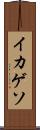 イカゲソ Scroll
