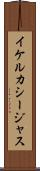 イケルカシージャス Scroll