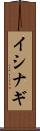 イシナギ Scroll